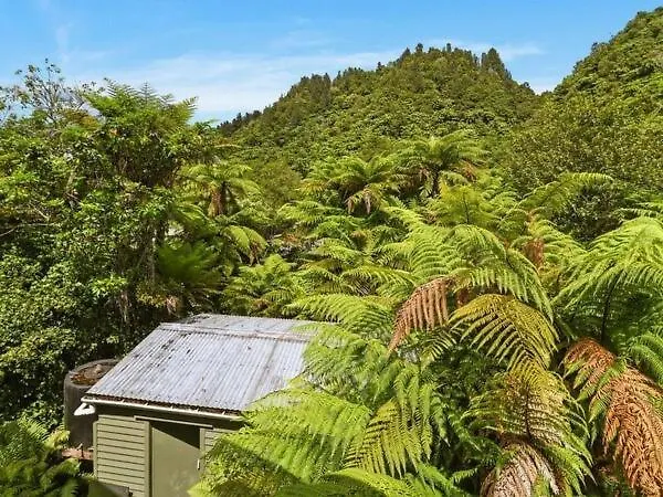 Casa de Férias Ponga Forest Lodge Rotorua