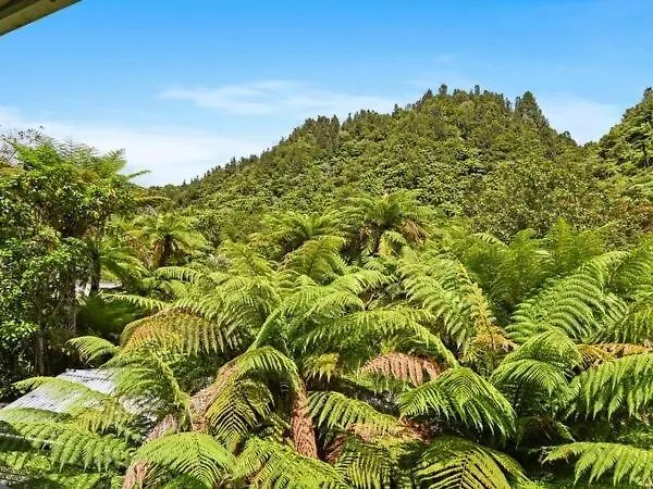 Hébergement de vacances Ponga Forest Lodge Rotorua Nouvelle-Zélande